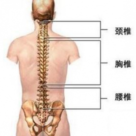 脊髓损伤的疾病宣教